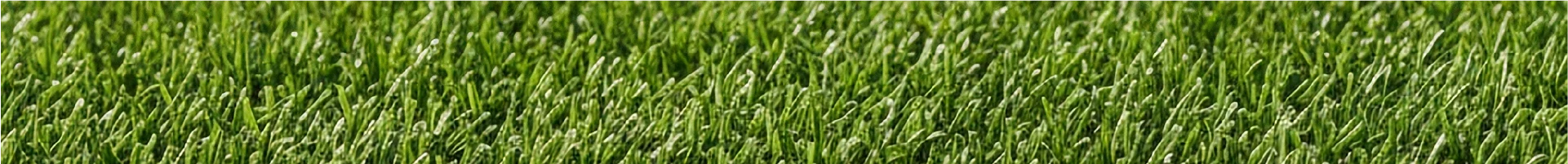 Guayos para Terreno firme