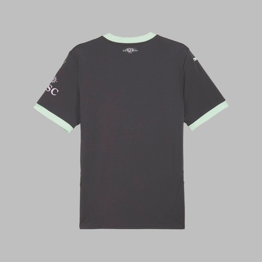 Camiseta Puma Hombre Ac Milan 24/25- Gris